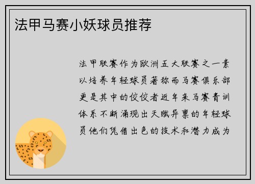 法甲马赛小妖球员推荐